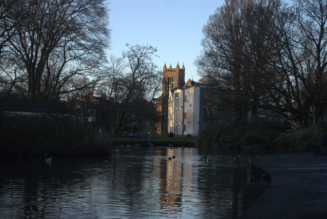 Ward Park view